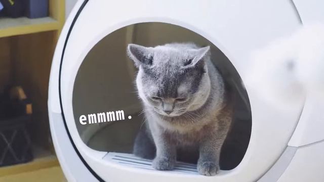 Bac à litière intelligent auto nettoyant automatique pour chat смотреть онлайн