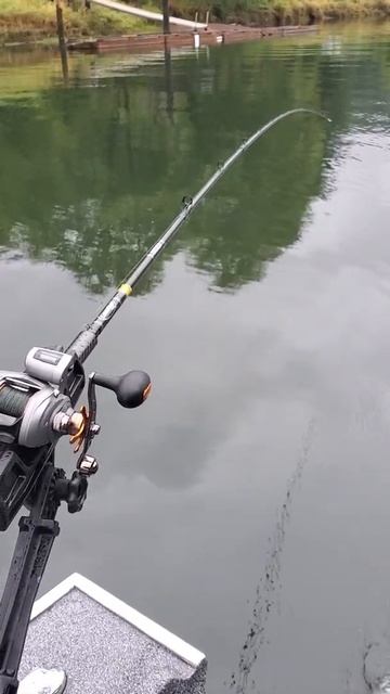 360 Flashers Speed Explained