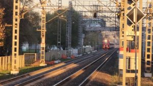 разноцветные ЭП2К и быстрый Сапсан | осеннее утро на Октябрьской