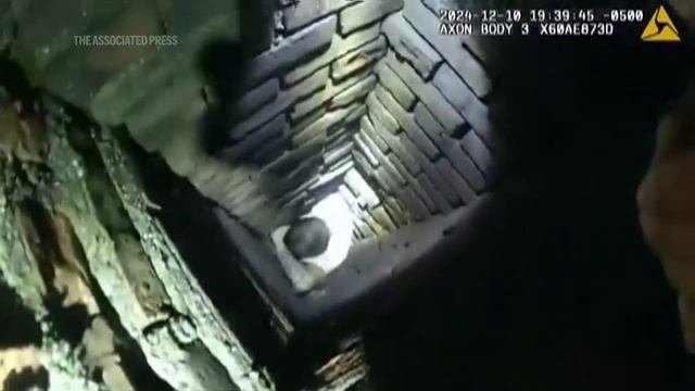 Погоня в США