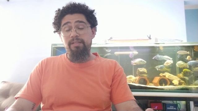 Quarenta de novos peixes смотреть онлайн