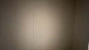 обзор дома. с.Троицкое