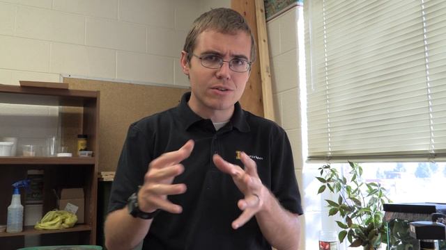 How to Kill and Preserve Insects and Spiders смотреть онлайн