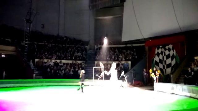 Королевские тигры Суматры - 6 смотреть онлайн