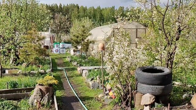 Arrow Ek Cobra R9 240-480fps on smartphone