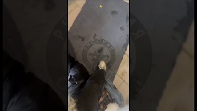 Маргиналы оккупировали подъезд дома в Новосибирске