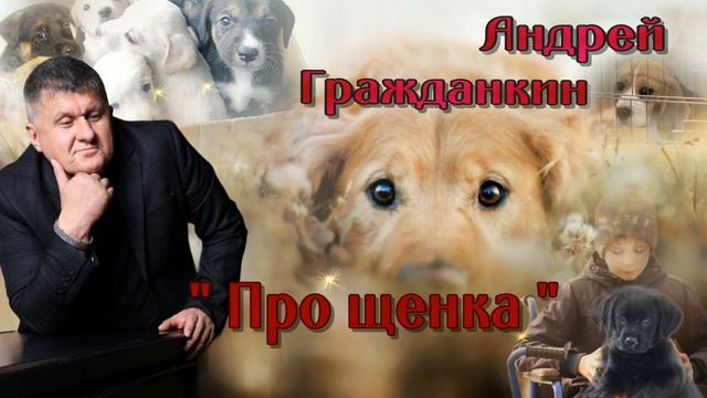 Андрей Гражданкин Про Щенка смотреть онлайн