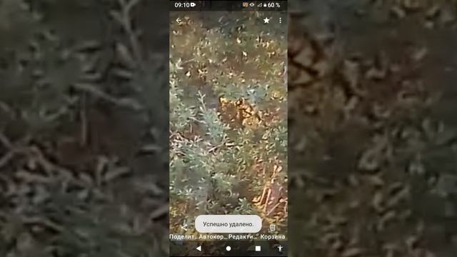 разбираем фрагменты из моих 2 видео про е....ку👺 смотреть онлайн