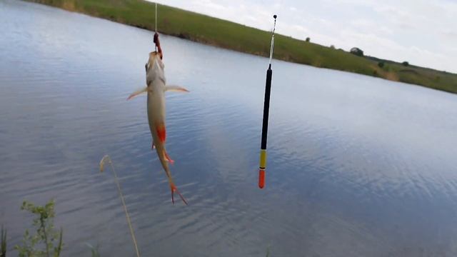 ОТКРЫЛСЯ ПО ТЕПЛОЙ ВОДЕ! СЕЗОН 2024 ОТКРЫТ!