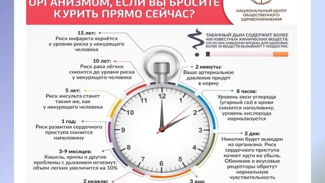 Жизнь без сигарет здоровье без бед смотреть онлайн