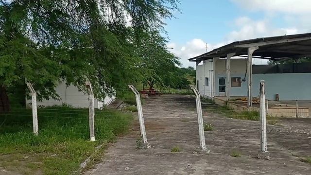 Vende-se 2 terreno R$ 20.000,00 Cada na Cidade de cacimbinha. Alagoas. 03.06.21/ 11.98095-9925 смотреть онлайн