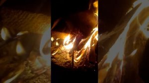 чVID 20240114 181159