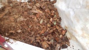 дробилка сосновой коры. первый пуск. разделение по фракциям.