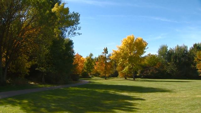 Color changes in tress смотреть онлайн