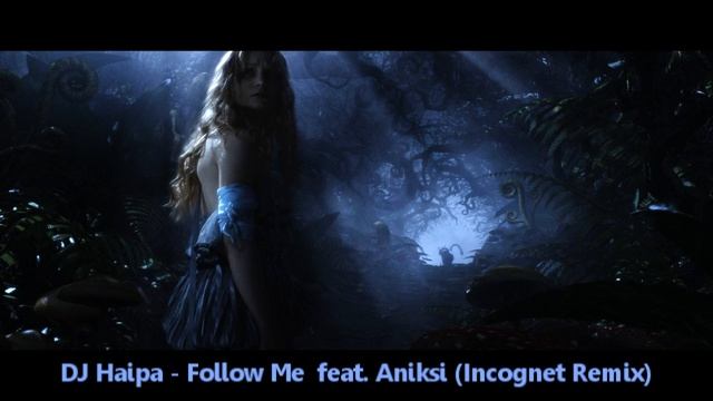 DJ Haipa - Follow Me  feat. Aniksi (Incognet Remix) [HD] смотреть онлайн