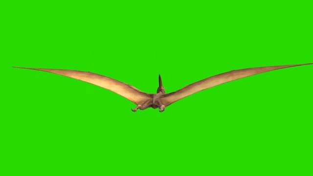 Pterodactyl green screen effect смотреть онлайн