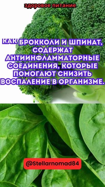 Многие овощи, такие как брокколи и шпинат #shorts #short #shortvideo