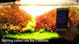 Chihiros RGB VIVID 2 setting via My Chihiros