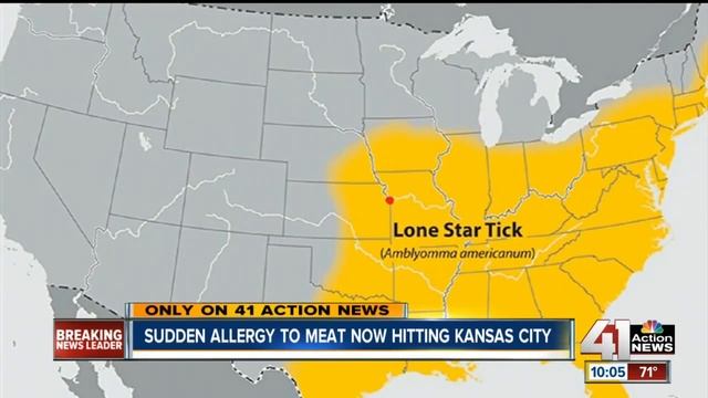Tick bite can lead to rare red meat allergy смотреть онлайн