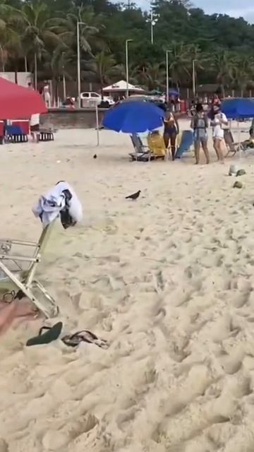 🇧🇷 Rio de Janeiro İpanema Beach Brazil смотреть онлайн