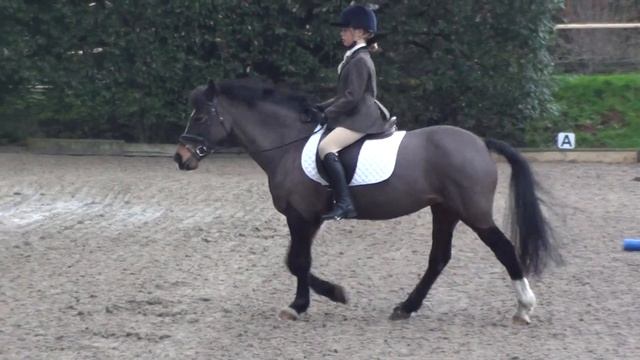 Mimi & Sadie, Jan NSEA Pop Up Dressage Prelim12 смотреть онлайн