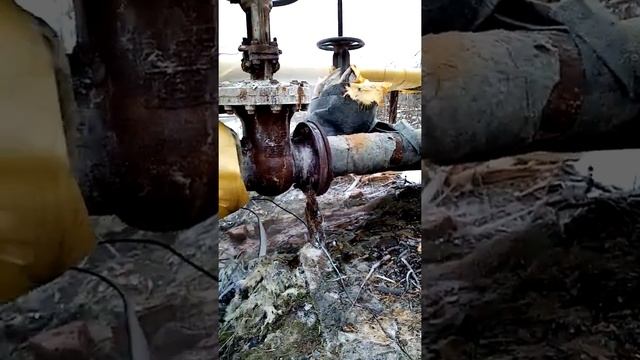 28 января 2020 г. смотреть онлайн