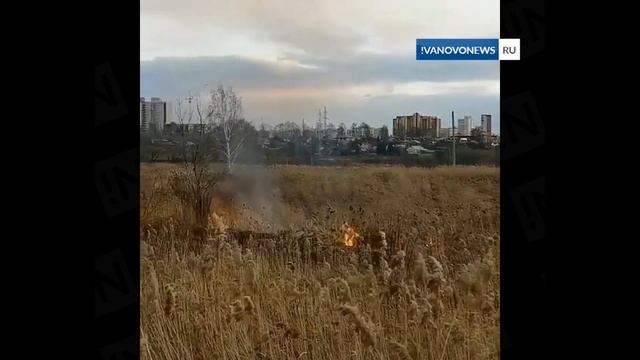 В Ивановской области начали поджигать сухую траву смотреть онлайн