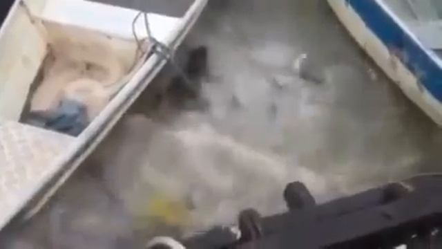 Пираньи смотреть онлайн