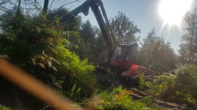 Харвестер Valmet 901 смотреть онлайн