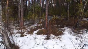 Снегоходы Ирбис Irbis sf 200 super long ответы на вопросы