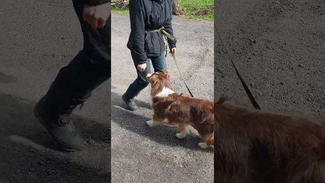 прямое наведение смотреть онлайн