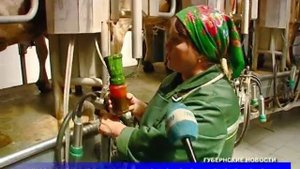 Современная молочная ферма