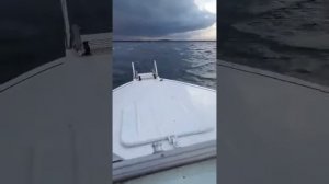 Минское Море, Прогресс 2-М, ноябрь.