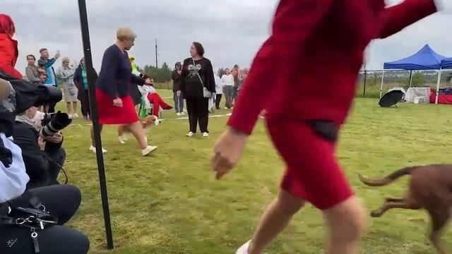 Ярославль 21 июля 2024. "ЯРОСЛАВСКИЙ МЕДВЕДЬ". Бесты. запись прямой трансляции. Видео БЕЗ ЗВУКА смотреть онлайн