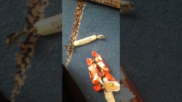 Плюшавый медведь Валера и Желтобрюх. Что случилось с ними???? смотреть онлайн