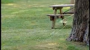 Just For Laughs - Powerful peeing boy