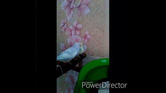 Тимоша, болтун!😍 смотреть онлайн