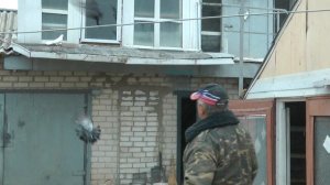 Николаевские голуби