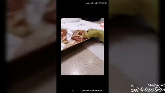 ПРОПАЛА УТКА!!!!!! смотреть онлайн