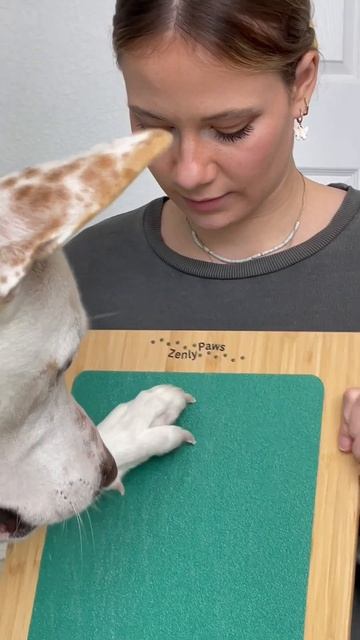 Link in the comments to check out ZenlyPaws🤍 #dogscratchboard #dognailfileboard #dognailtrim смотреть онлайн