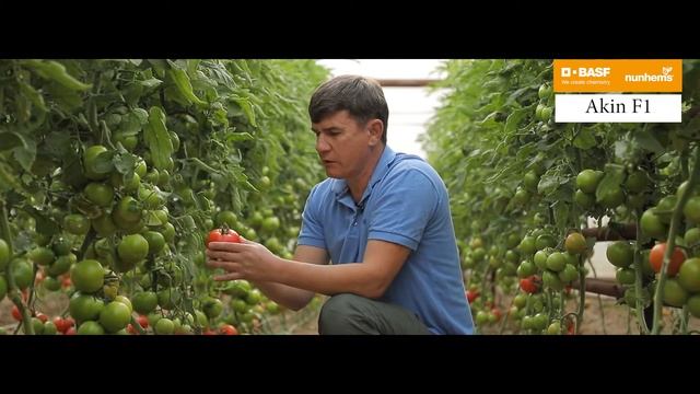 Akin F1 смотреть онлайн