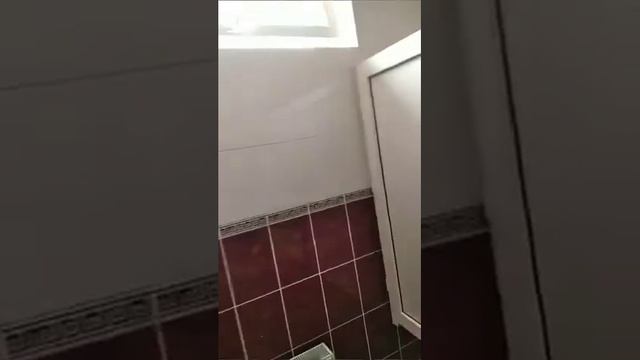 Обзор на школьный туалет🗿👍 смотреть онлайн