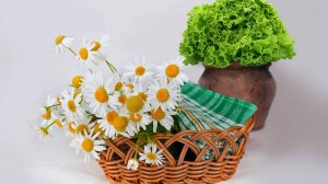 Кисель из семени льна в домашних условиях.