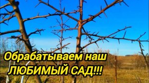 КАК ИМЕННО УБИВАЕТ ЭТОТ НАСТОЙ | ТА ЕЩЁ ГРИМУЧАЯ СМЕСЬ | Дом в деревне | Семья в селе