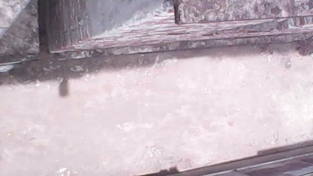 live cctv camera. | security | home | how | when | technique | ipcame | webcam | web cam videos | смотреть онлайн