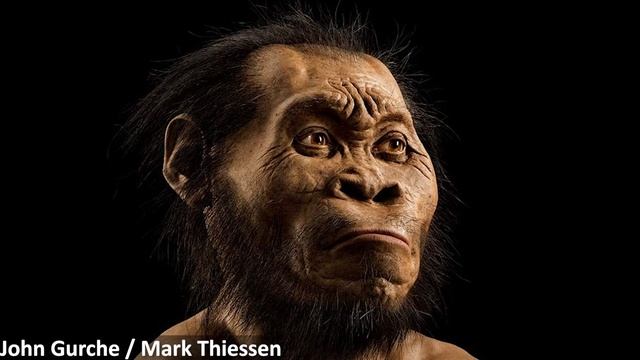 The Mystery of Homo Naledi смотреть онлайн