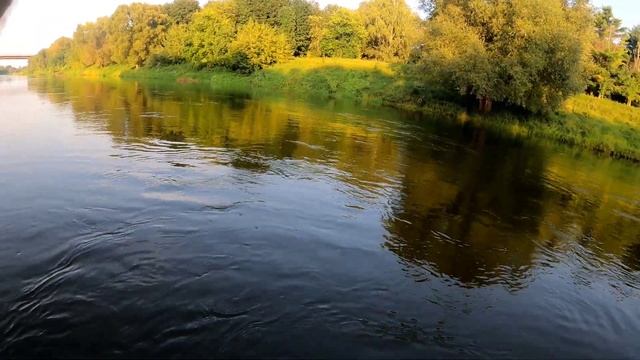 Волкерный Жерех в Беларуси!