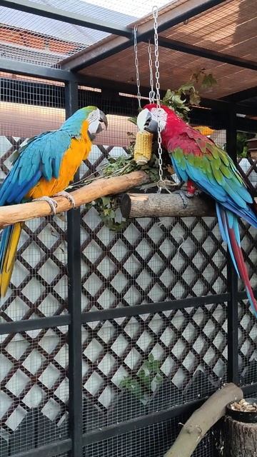 21 год жил один и не умеет ухаживать 🤷 смотреть онлайн