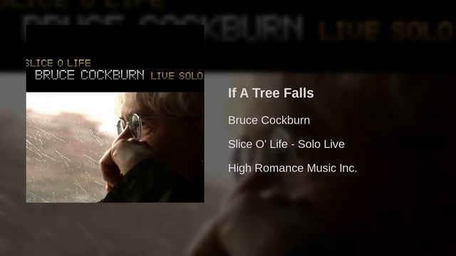 Bruce Cockburn - If A Tree Falls смотреть онлайн