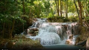 Артем Семенов каппер телеграм отзывы